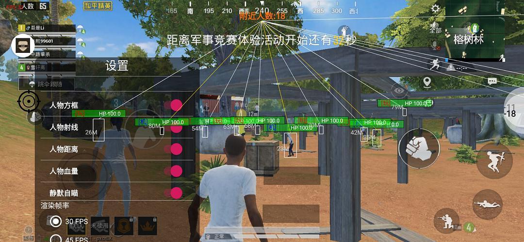 和平精英《向日葵》外挂